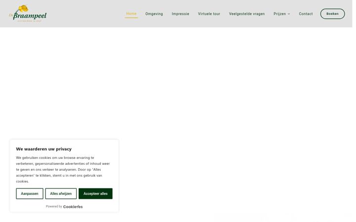 Screenshot of braampeel.nl
