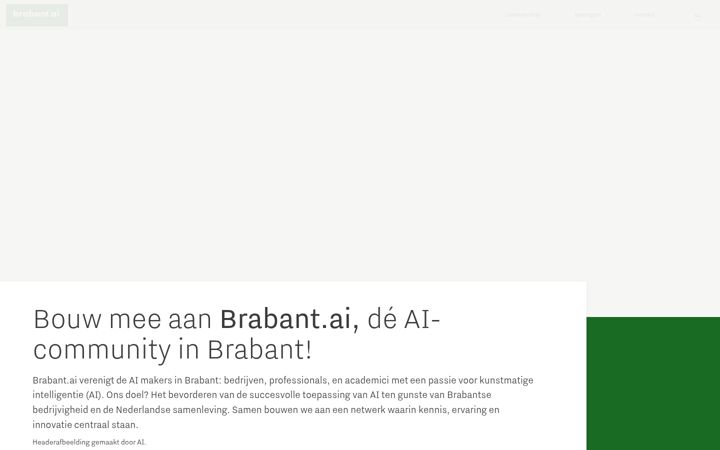 Zrzut ekranu brabant.ai