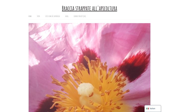 Screenshot of bracciarubateallapicoltura.com