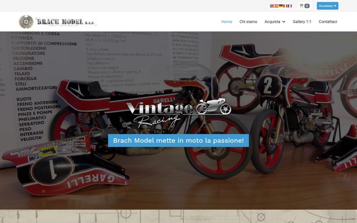 Captura de pantalla de brachmodel.it