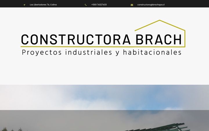 Screenshot of brachspa.cl