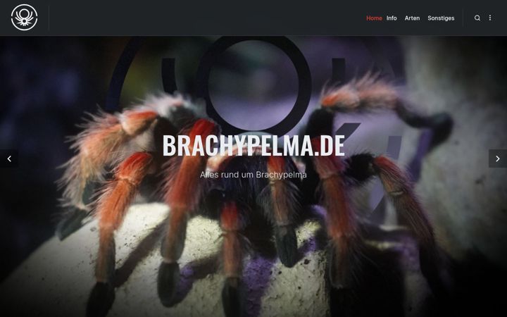 Screenshot of brachypelma.de
