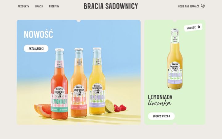 Screenshot ta' braciasadownicy.pl