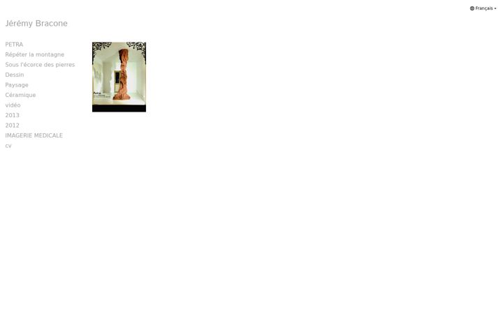 Screenshot of bracone.com