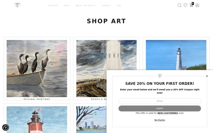 Screenshot of bradforddruryart.com