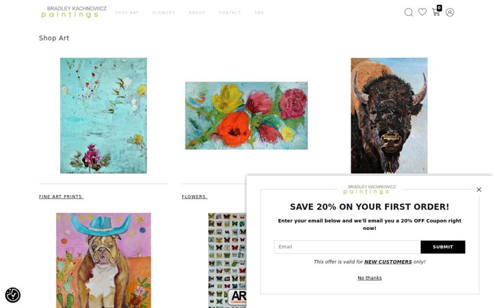 Screenshot of bradleykachnowicz.com