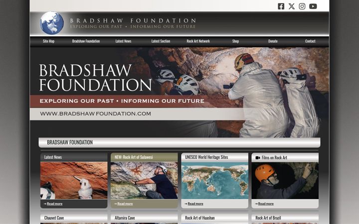 Screenshot von bradshawfoundation.com