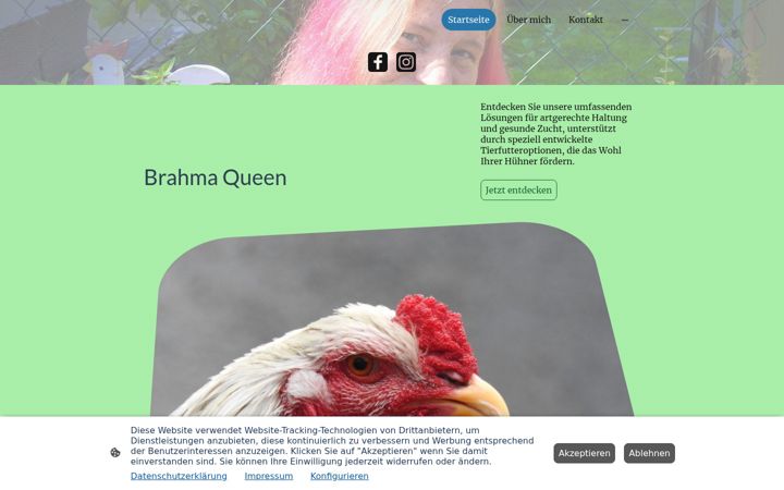 Screenshot of brahma-queen.de