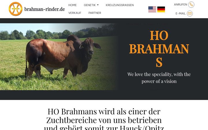 Screenshot of brahman-rinder.de