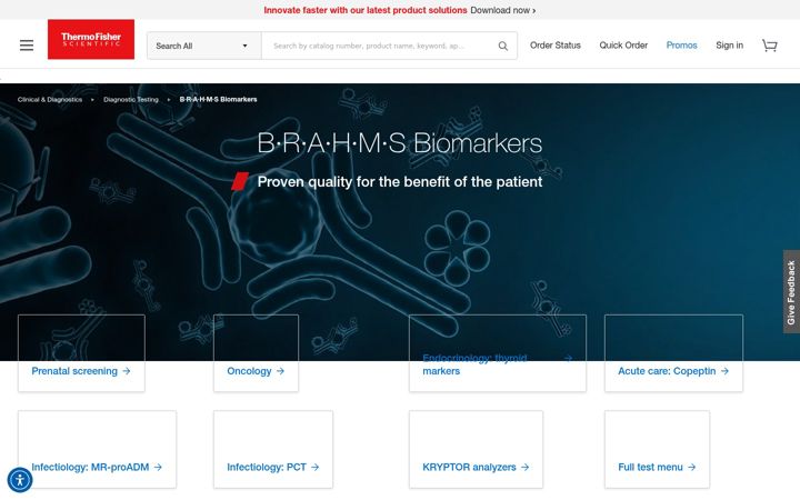 Screenshot ta' brahms.de