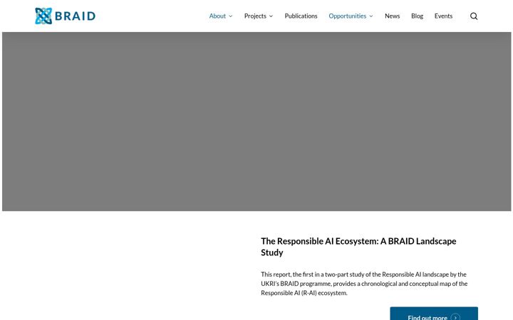 Skærmbillede af braiduk.org