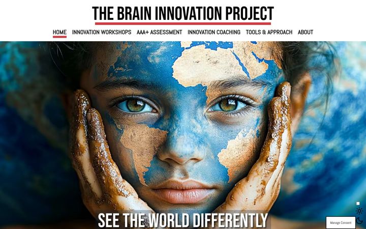 Screenshot of brain-innovation-project.com