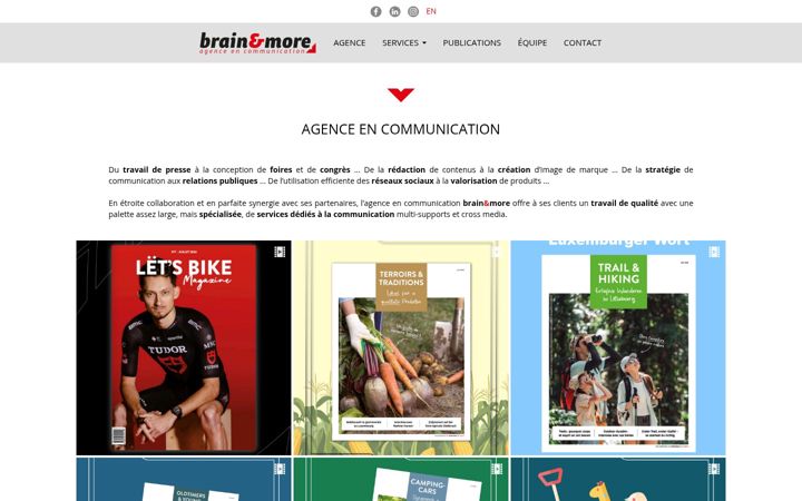 Screenshot of brain.lu