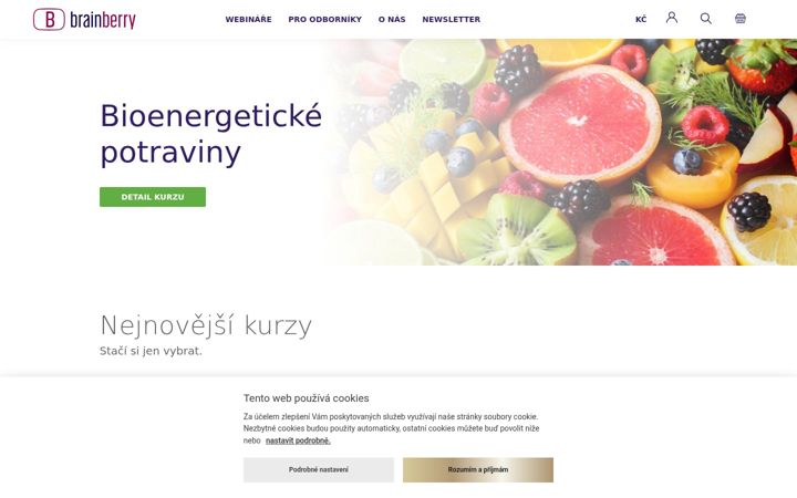Screenshot of brainberry.cz