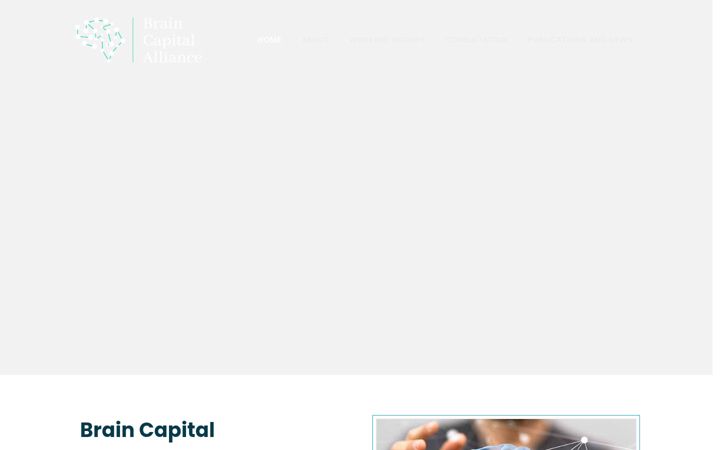 Snímek obrazovky braincapital-platform.net