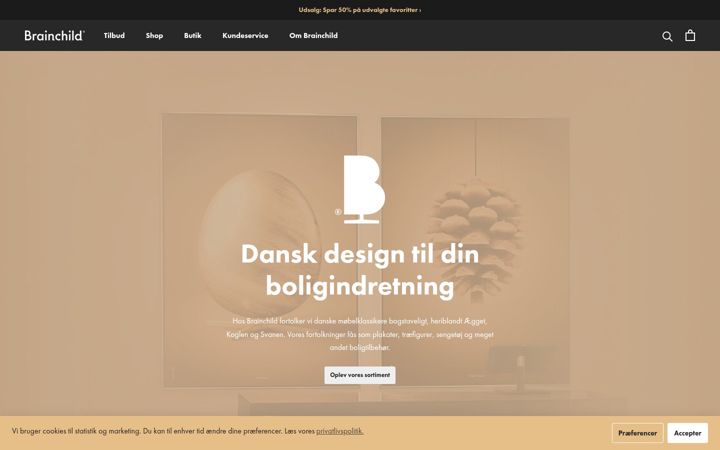 Screenshot of brainchild.dk