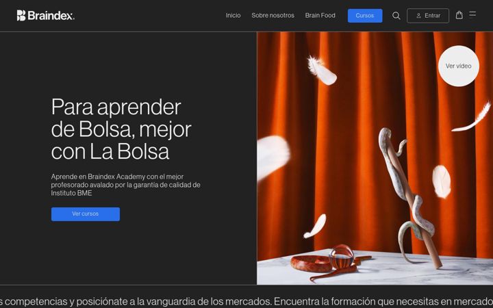 Screenshot of braindex.academy