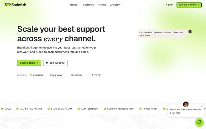 Screenshot of brainfishai.com