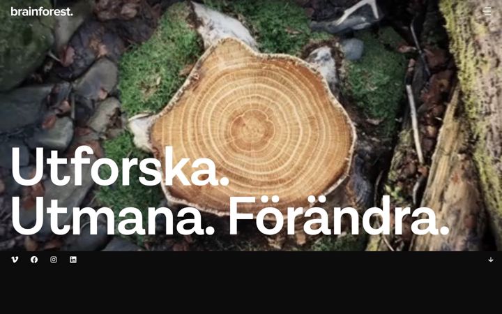 Screenshot of brainforest.se