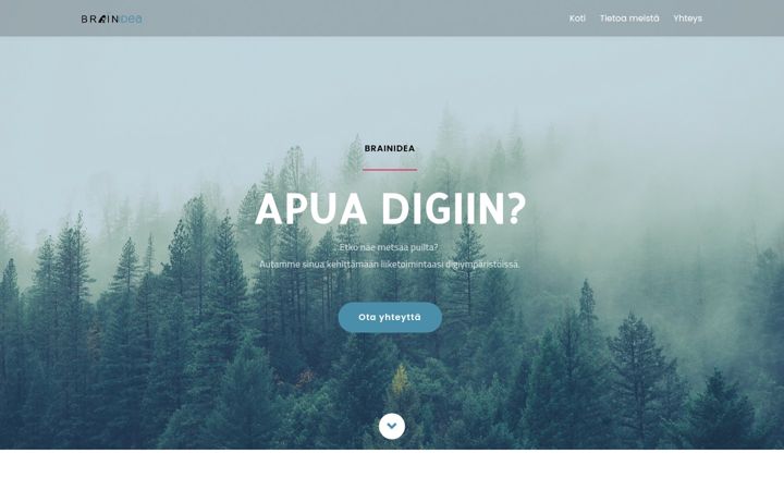 Screenshot of brainidea.fi