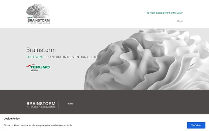 Screenshot of brainstormeurope.com