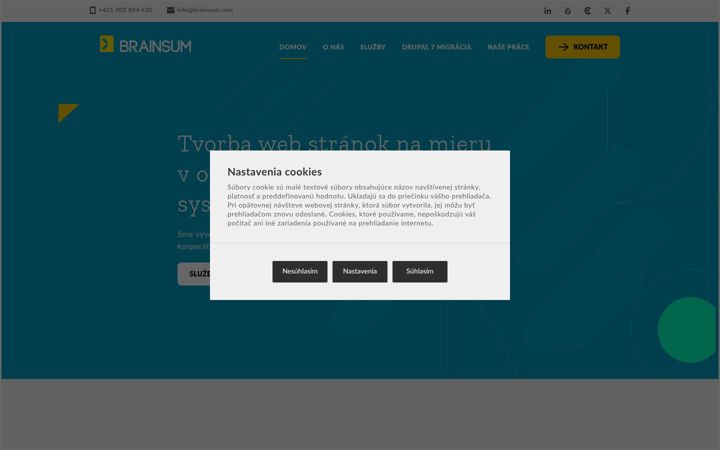 Screenshot of brainsum.sk