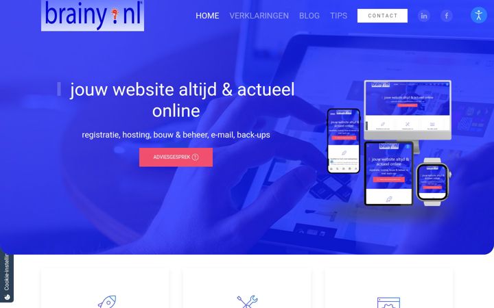 Screenshot of brainy.nl