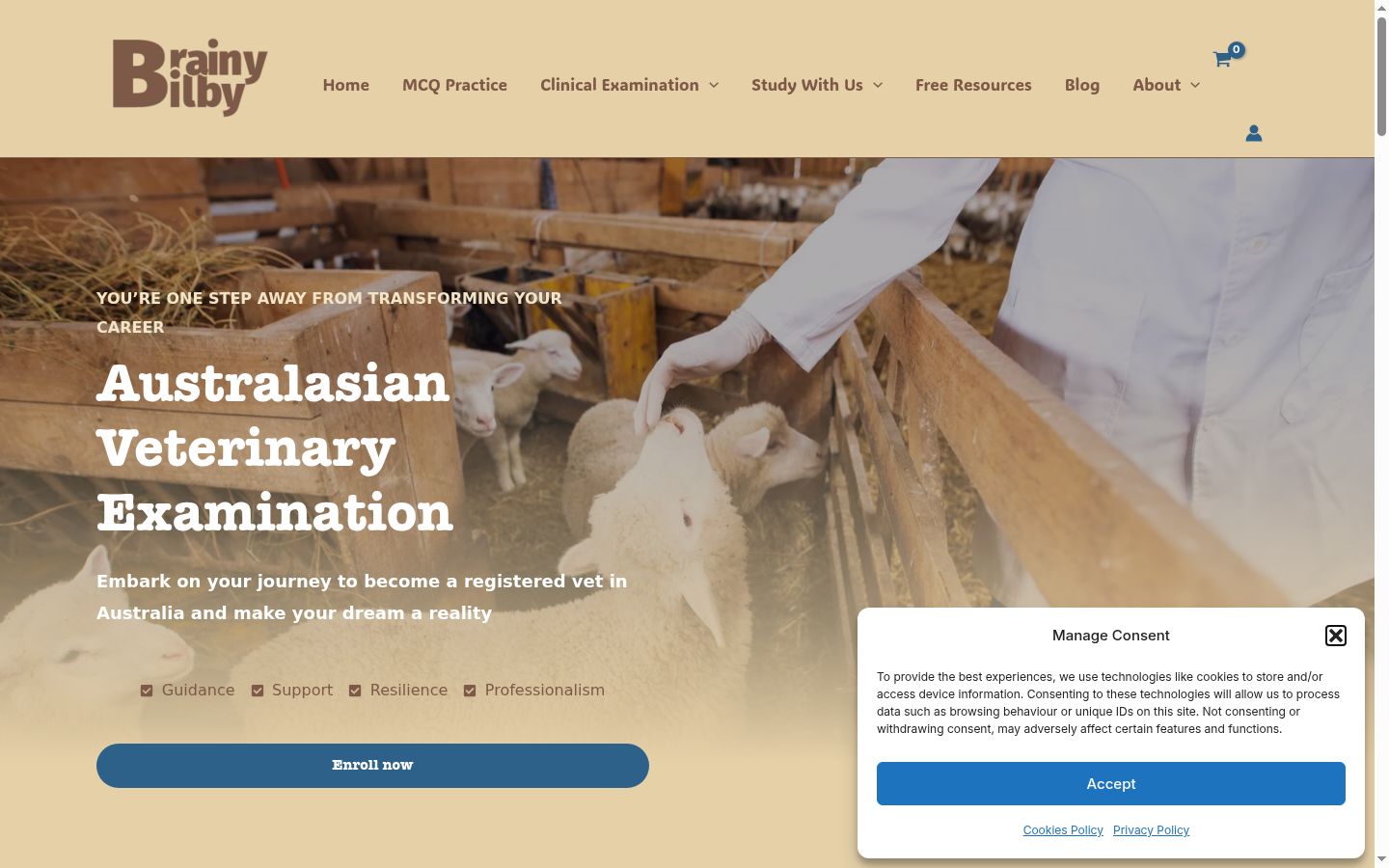 Screenshot tal-banner tal-kunsens muri qabel kwalunkwe interazzjoni