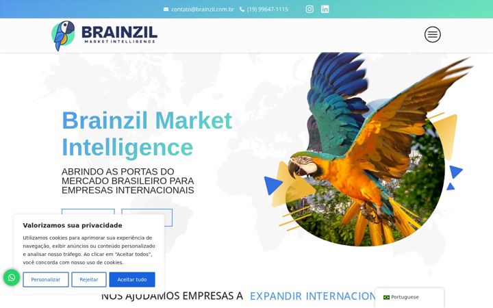 Screenshot of brainzil.com.br