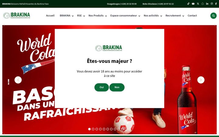 Screenshot of brakina-bf.com