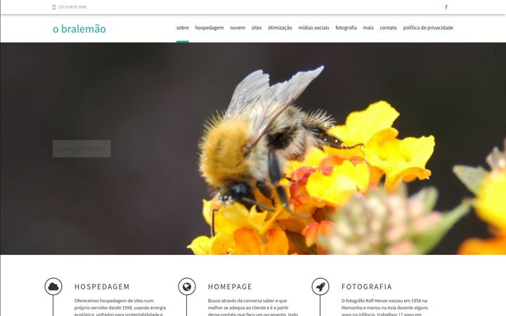 Screenshot stránky bralemao.com.br
