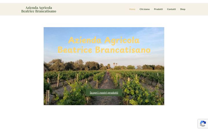 Screenshot of brancatisano.it