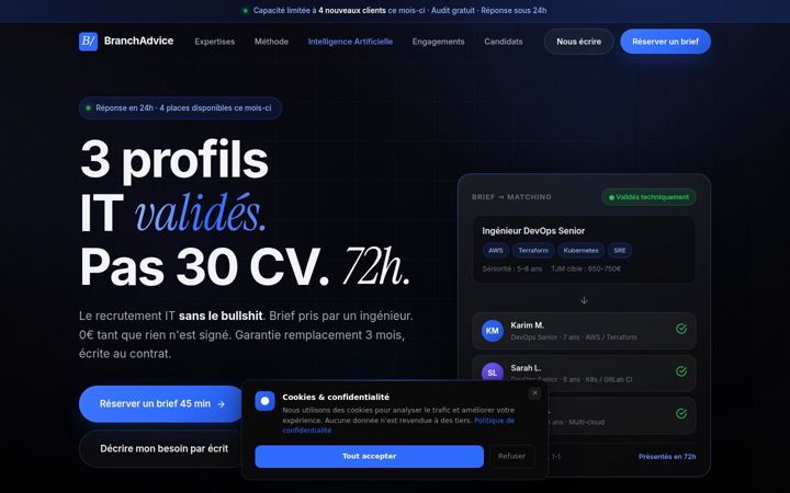 Screenshot of branchadvice.com