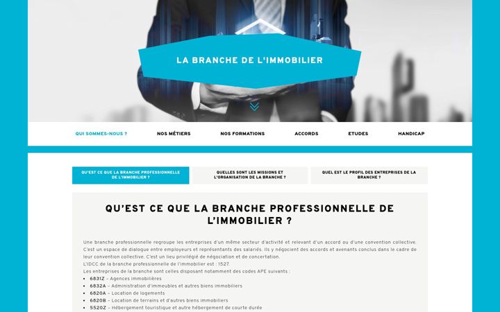 Screenshot of branchedelimmobilier.fr