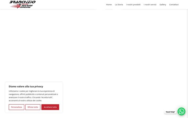 Screenshot of branchiziomarineengine.com