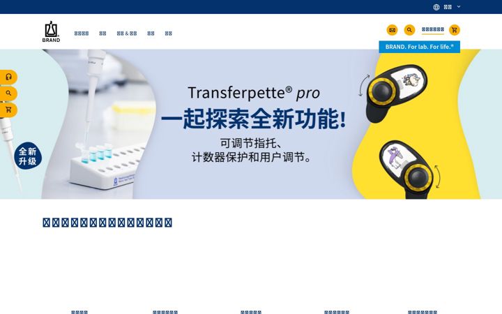 Screenshot of brand.com.cn
