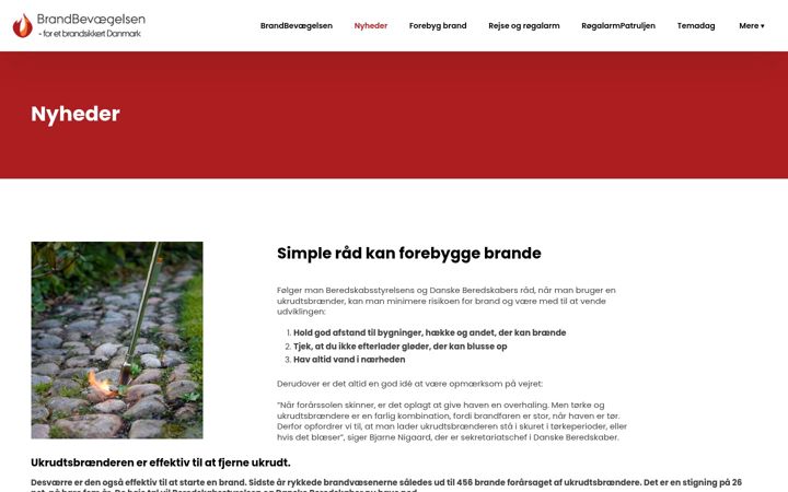 Screenshot of brandbevaegelsen.dk