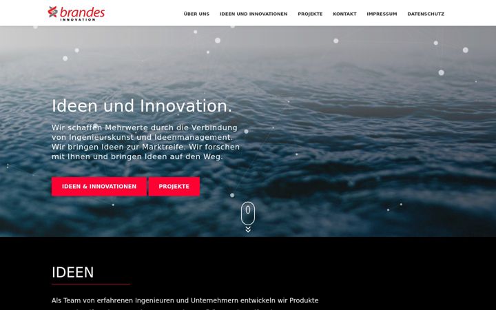 Screenshot of brandes-innovation.com