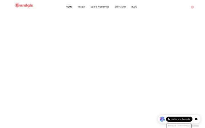 Screenshot of brandgis.com