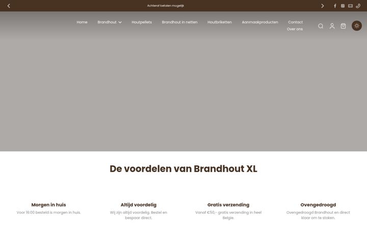 Screenshot of brandhoutxl.be
