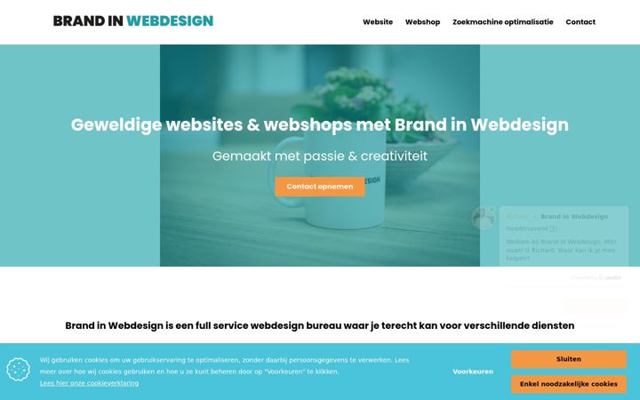Screenshot of brandinwebdesign.nl