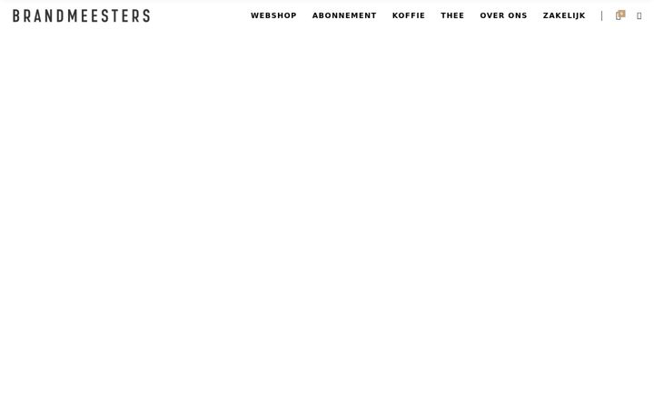 Screenshot of brandmeester.com