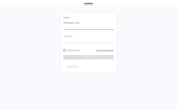 Screenshot of brandnamic.tech