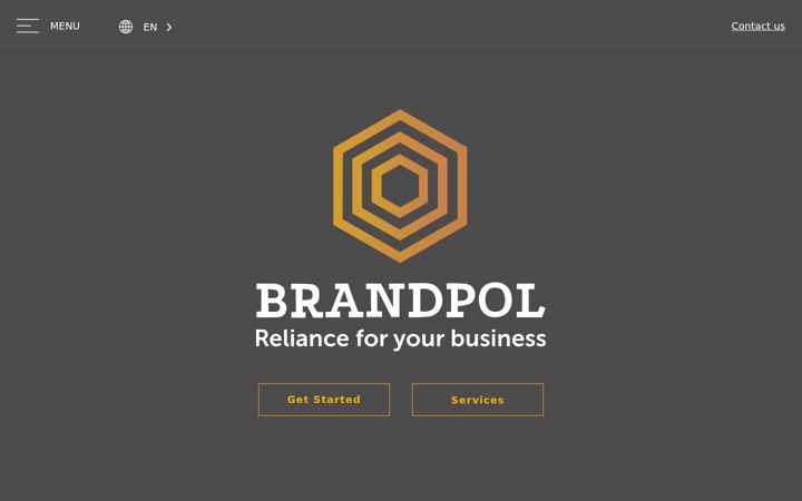 Screenshot von brandpolgroup.com