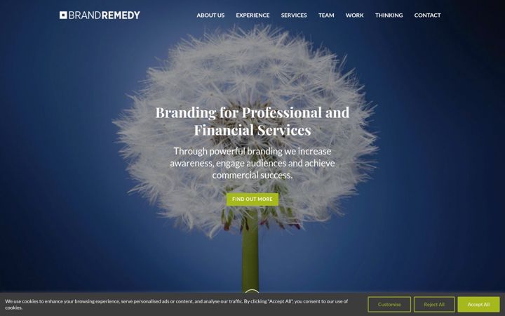 Screenshot of brandremedy.com