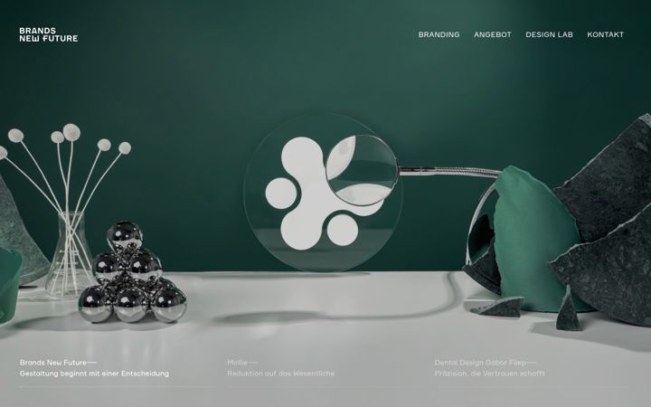 Skjámynd af brandsnewfuture.de