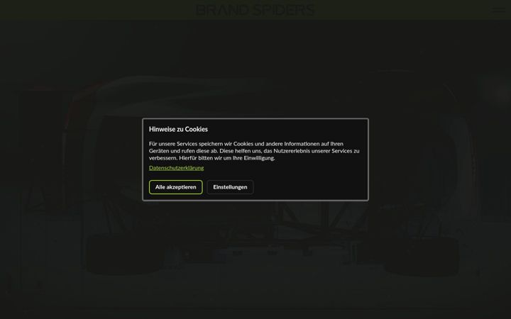 Screenshot of brandspiders.com