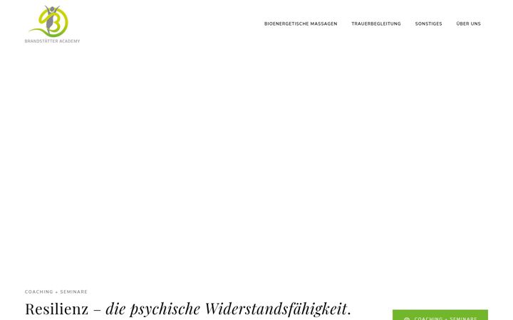 Screenshot ta' brandstaetter-academy.com