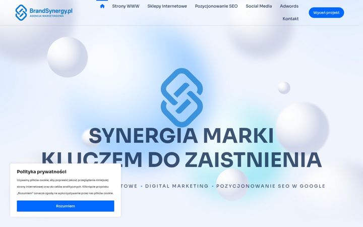 Screenshot ta' brandsynergy.pl
