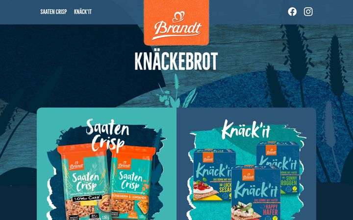 Screenshot of brandt-knaecke.de